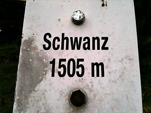 Alpschwanz